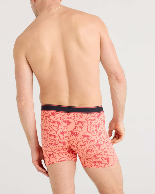 Back - Model wearing Daytripper Boxer Brief Fly in Parrot Party-Fusion Coral