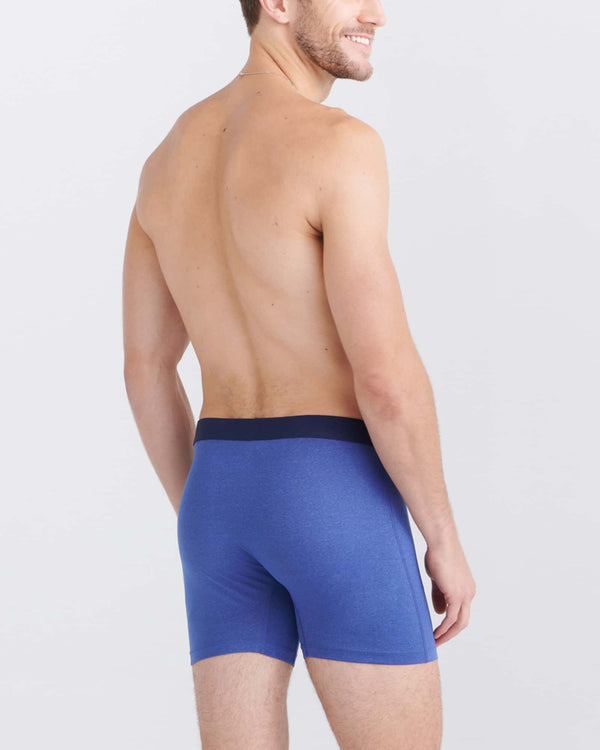 Back - Model wearing Daytripper Boxer Brief Fly 3Pk in Sport Blue Heather/Blueberry/Maritime