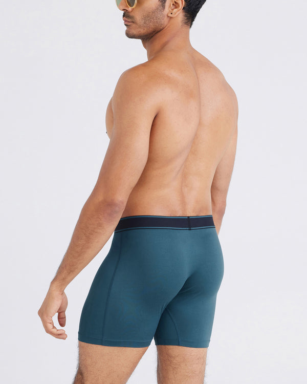 Back - Model wearing Daytripper Boxer Brief Fly 2Pk in Storm/Black